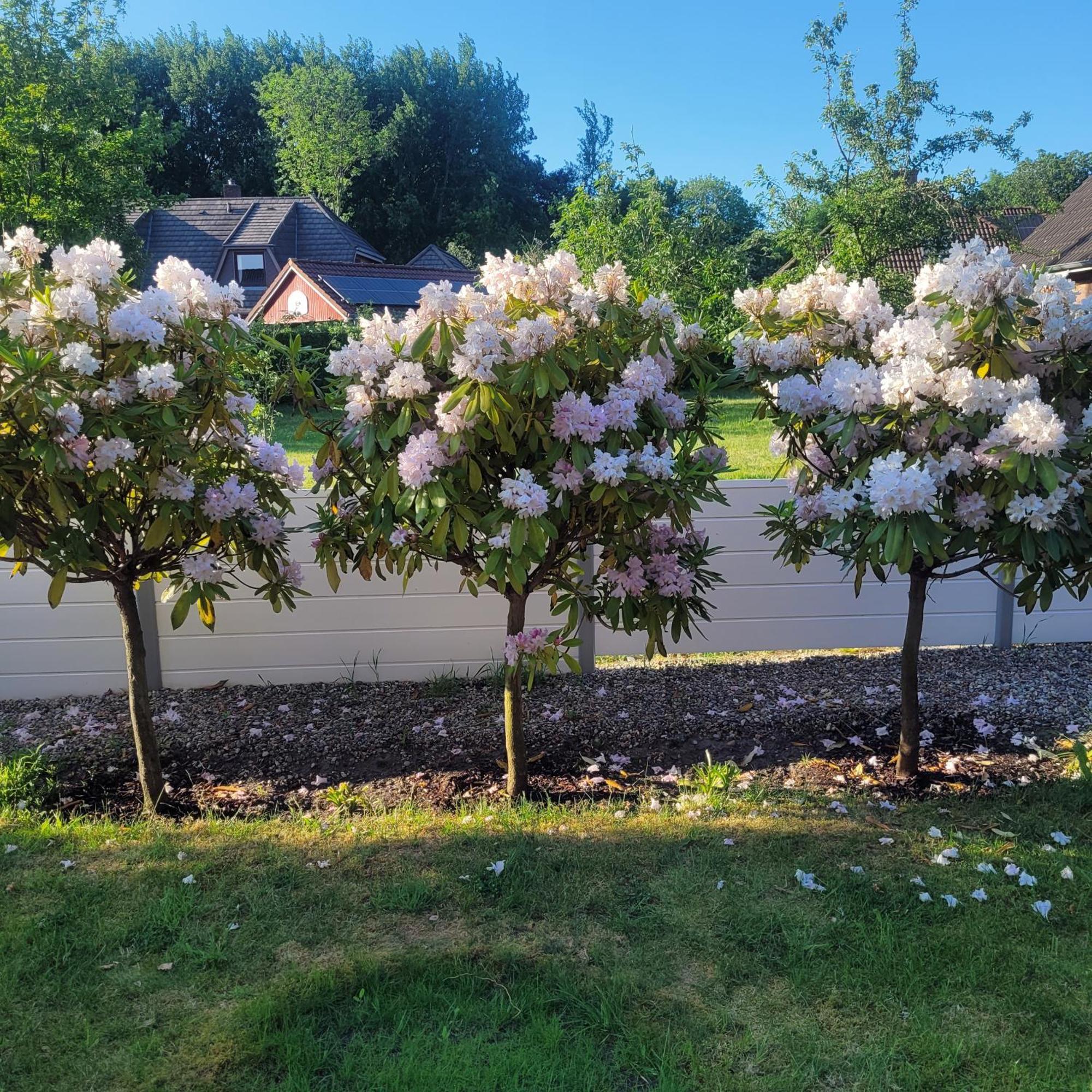 Ferienwohnung Meeresbrise Aventoft Luaran gambar